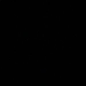 Meet your Posher, Brendan